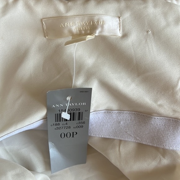 Ann Taylor Strapless Ball Gown Wedding Dress - Picture 7 of 12